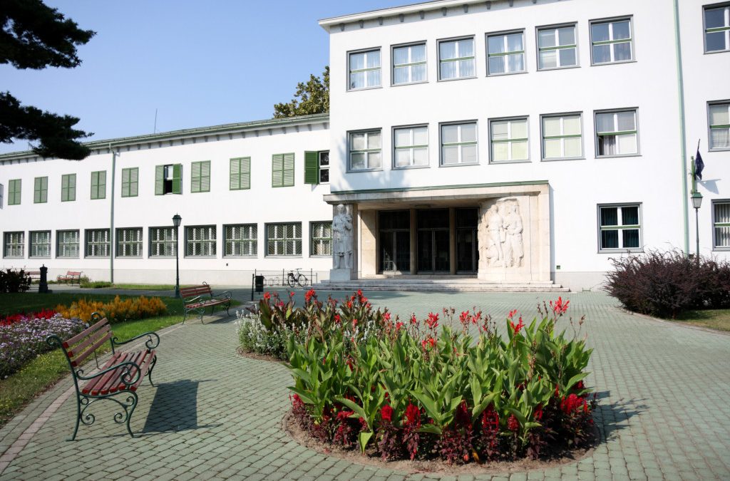 Reinigung von Kindertagesstätten und Schulen